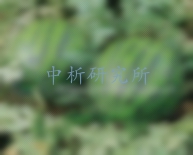 地理標(biāo)志產(chǎn)品檢測(cè)