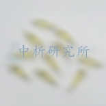 魚餌檢測