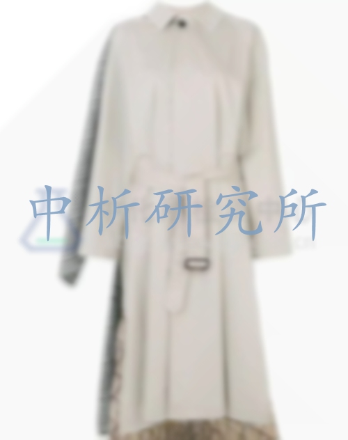 風衣檢測
