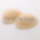 乳墊檢測