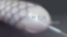 血管支架檢測(cè)