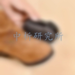 鞋油檢測(cè)