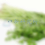 芹菜檢測