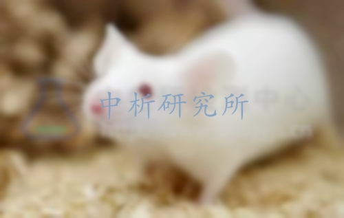 小鼠血液檢測