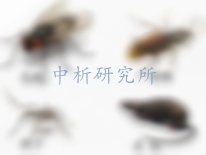 白蟻粉檢測