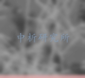 晶須檢測(cè)