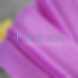 耐起痕指數(shù)