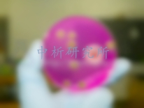 動物樣品檢測