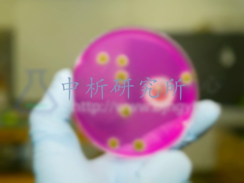 動物樣品檢測