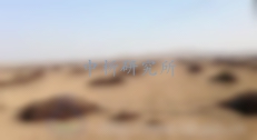 沼渣檢測