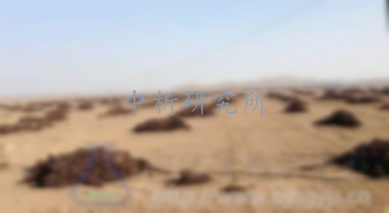 沼渣檢測