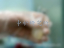 體外功效性試驗