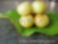 余甘子檢測(cè)