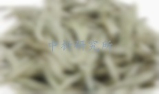 白茶檢測(cè)